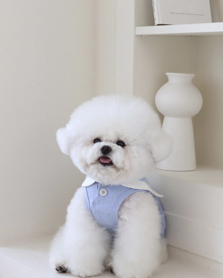 Pastel Linen Cape Top (Blue)