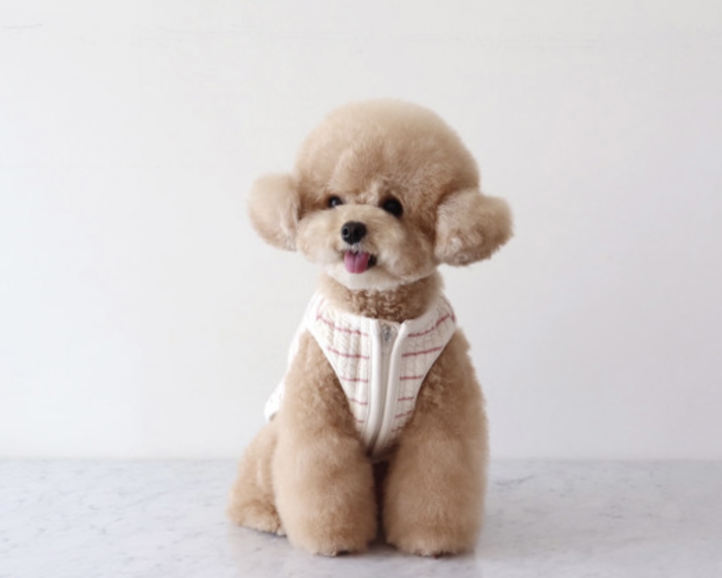 Chiot Bebe Cream Quilted Zip-Up Vest (Pink)