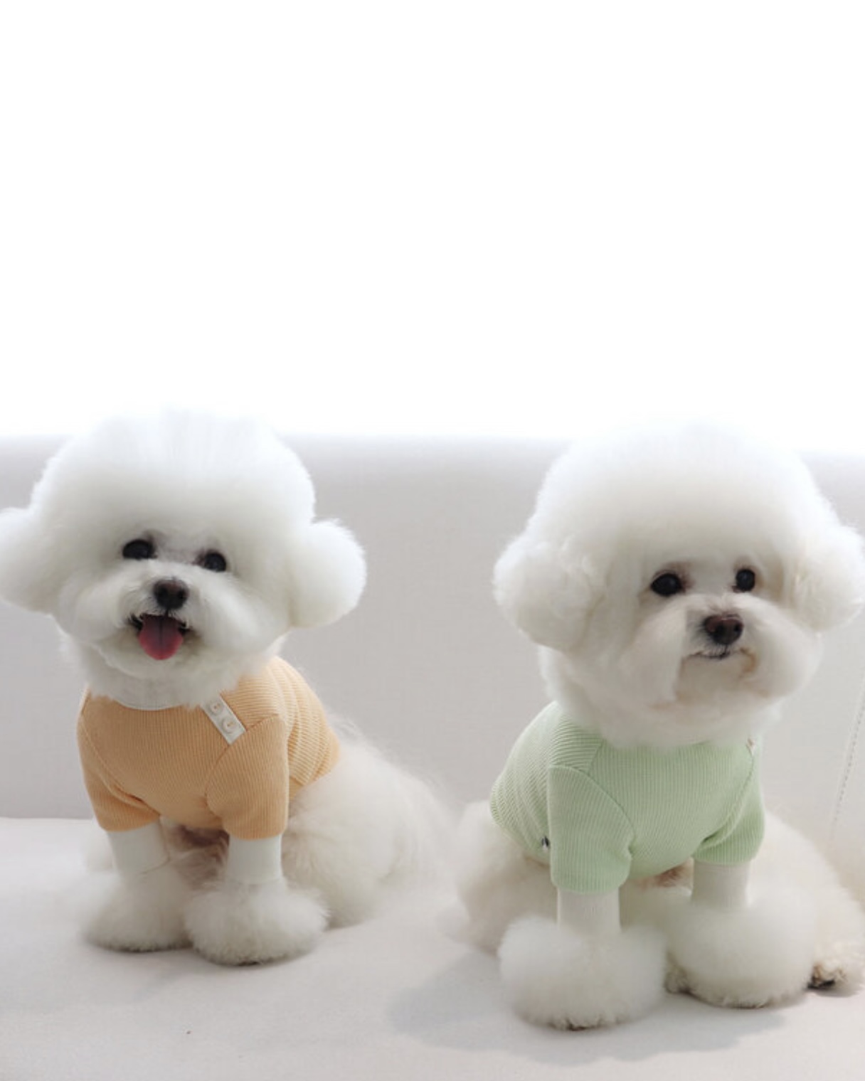 Sherbet Waffle T-Shirt (Milk Green)