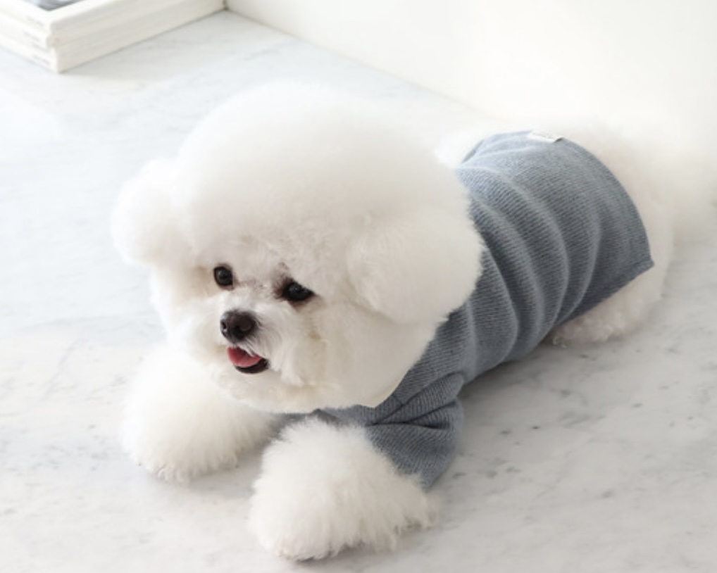 Chiot Blanc Knit Collar T-Shirt (Blue)