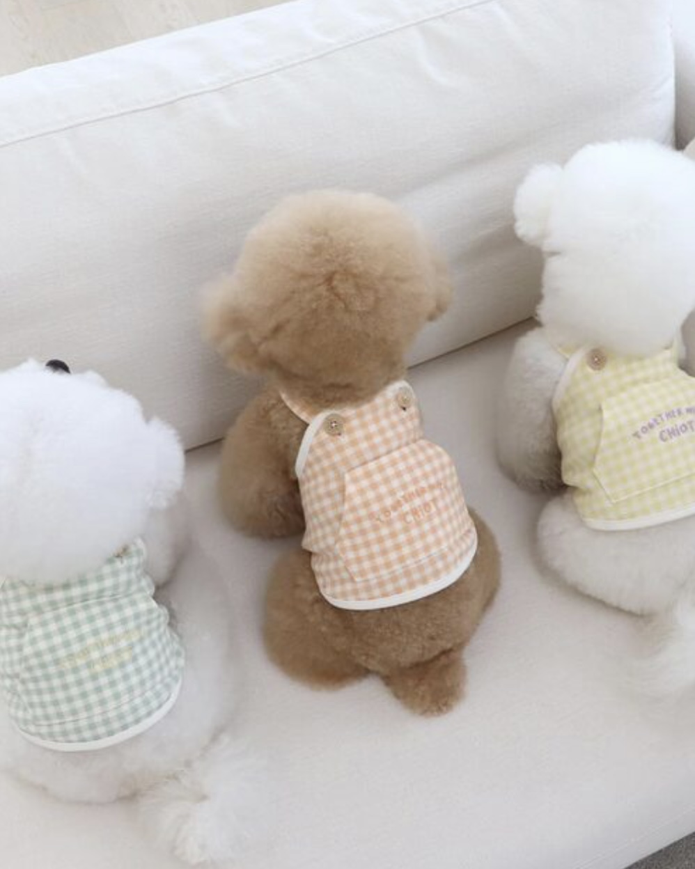 Chiot Together Check Crop Top Overall (Mint)