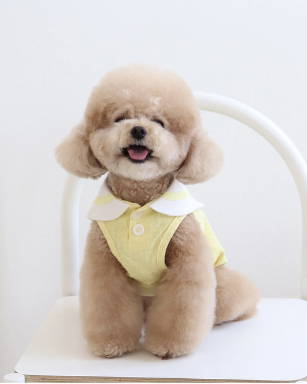 Pastel Linen Cape Top (Yellow)