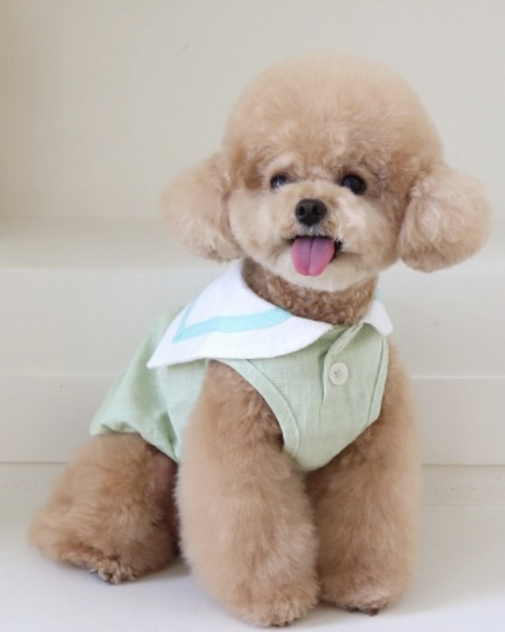 Pastel Linen Cape Top (Mint)