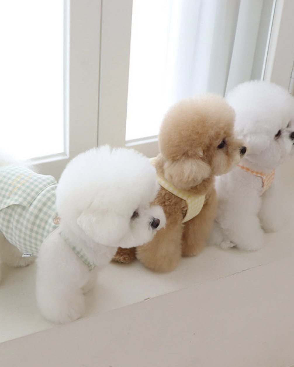 Chiot Together Check All in One Overall (Orange)