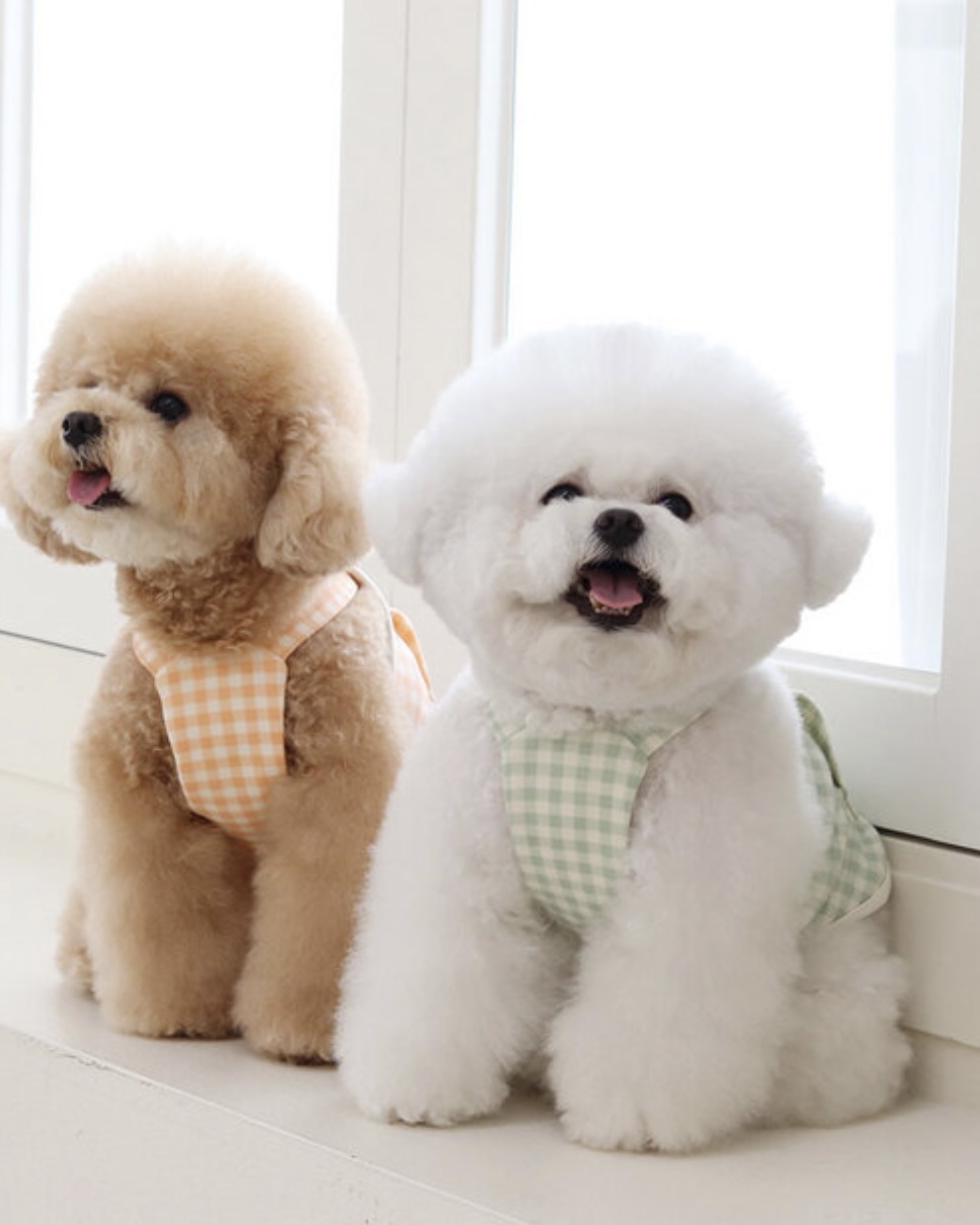 Together Check Crop Top Overall (Orange)