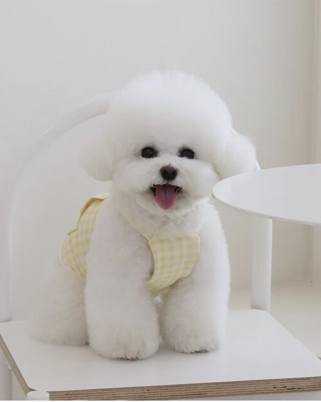 Chiot Together Check Crop Top Overall (Yellow)