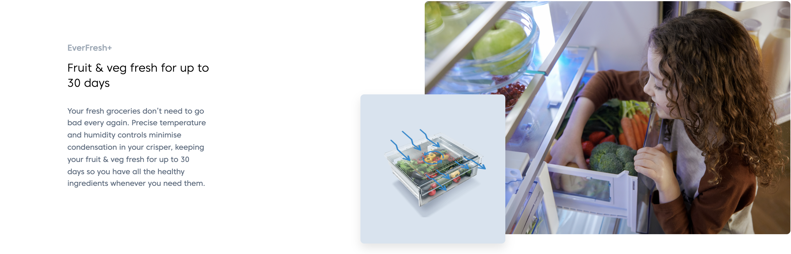 Beko 375L Bottom Freezer Refrigerator RCNT375I50VZWB