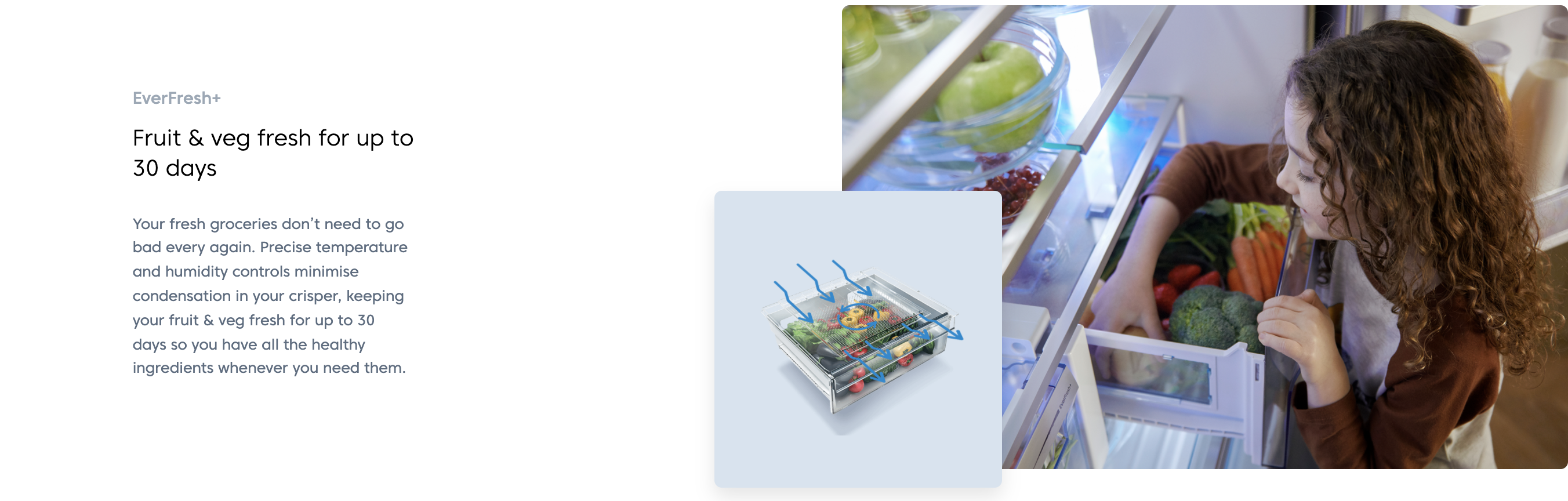 Beko 415L Bottom Freezer Refrigerator RCNT415E50VZP