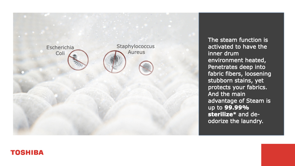 Toshiba 8.5Kg Front Load Washing Machine TW-BK95G4S(SK) 