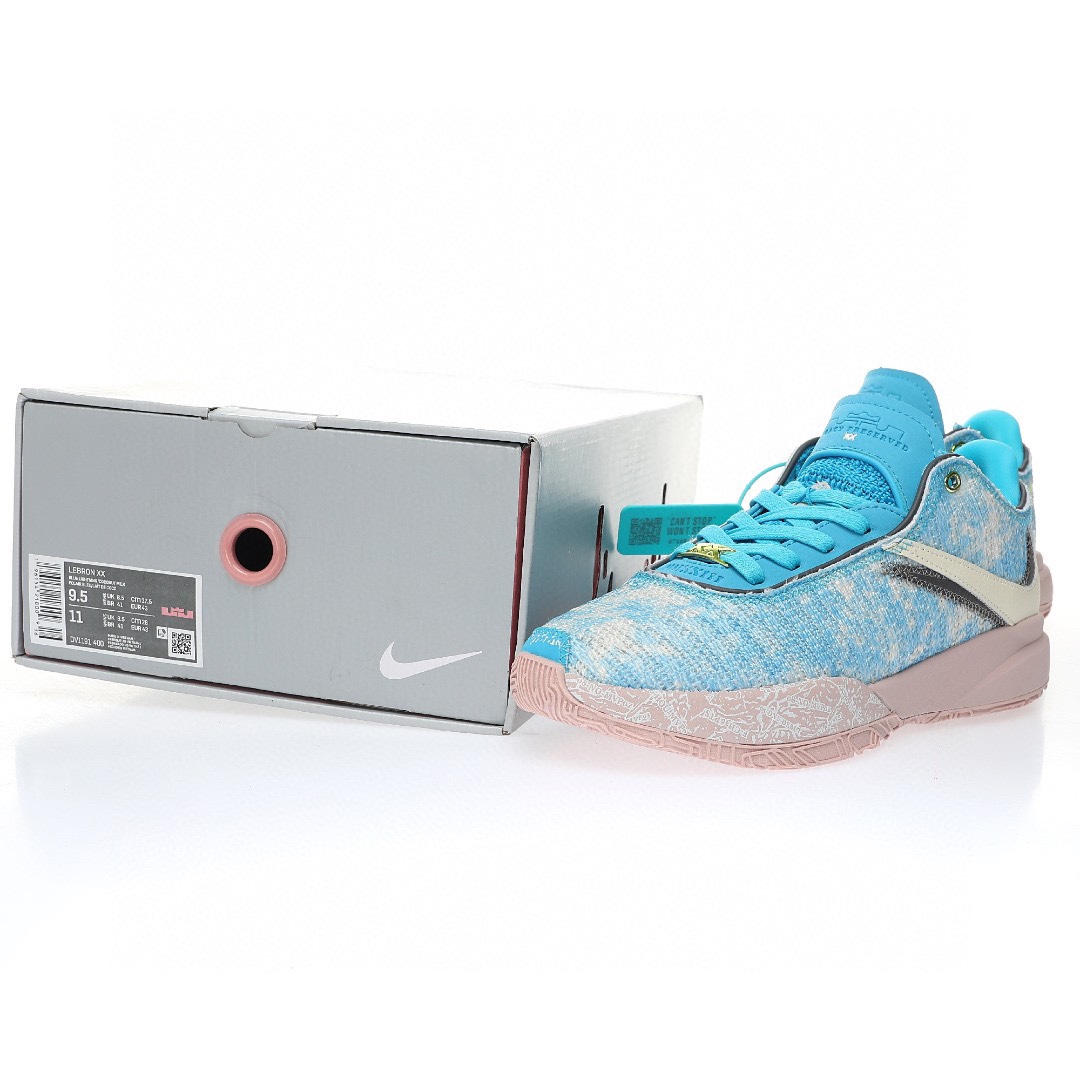 Nike LeBron 20 Low GS"Young Heirs"