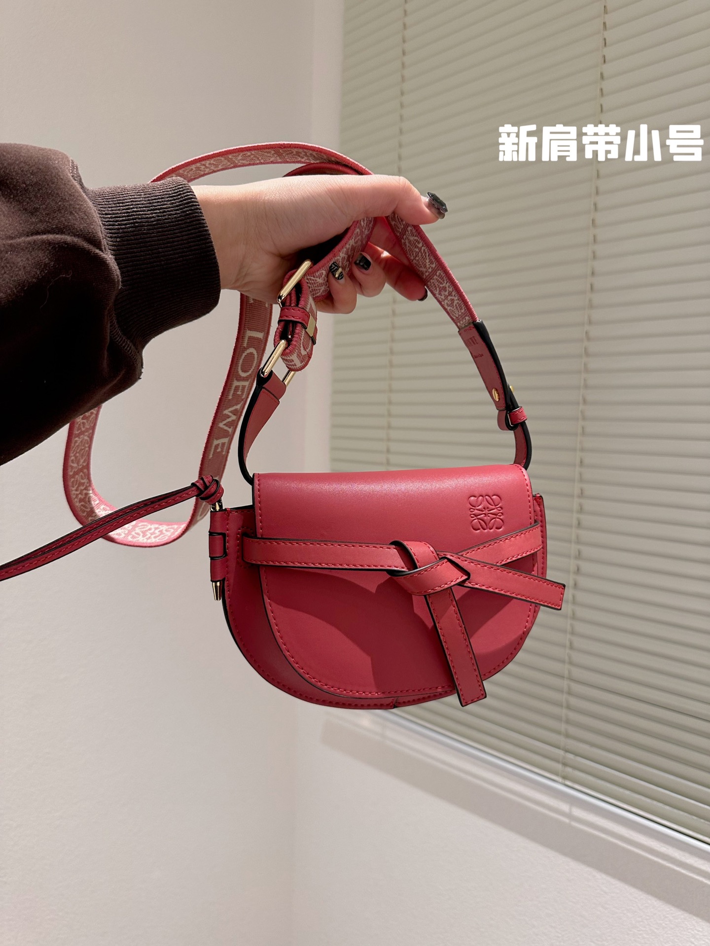 【LOEWE】★ゲートデュアル ミニ　バッグ★6色😸