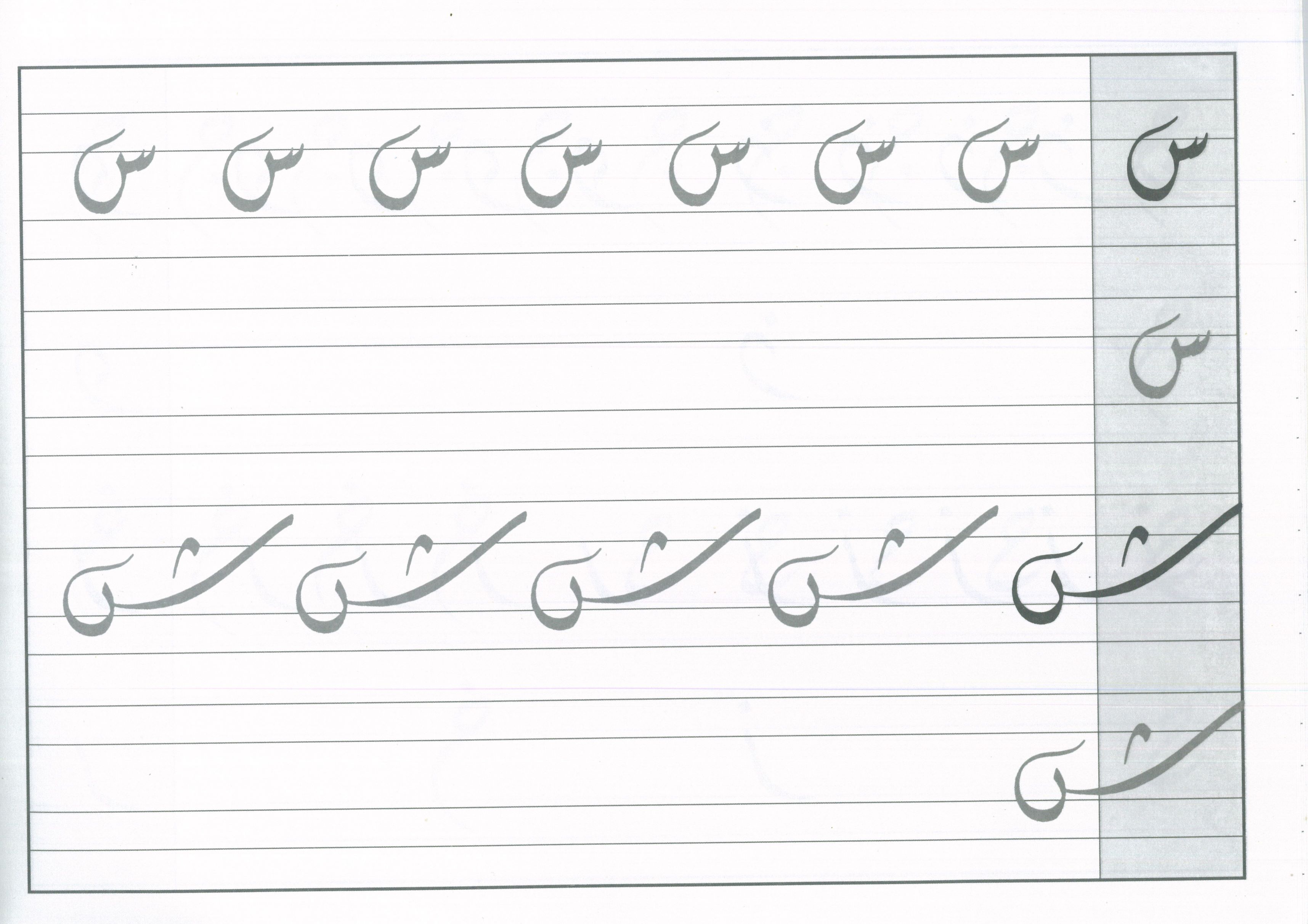 The Art of Arabic Calligraphy (Diwani)