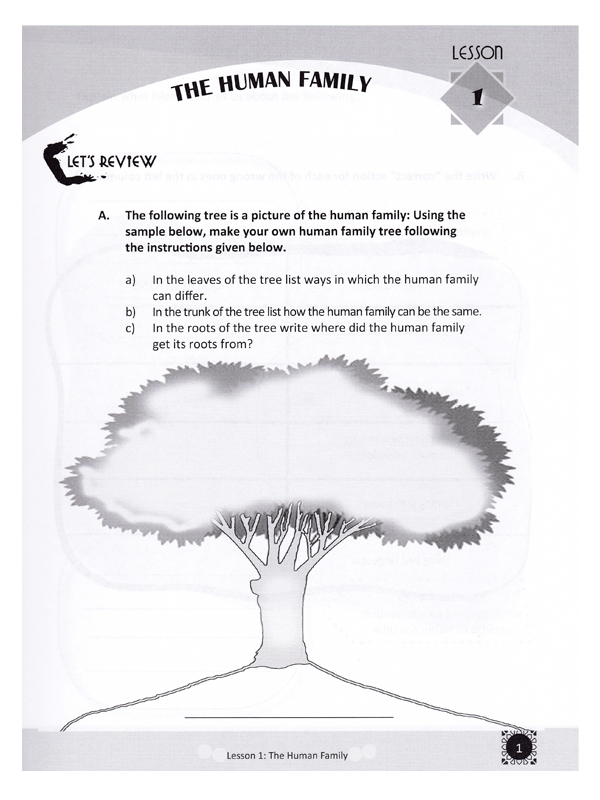 Teachings of the Qur’an Vol 3 Workbook