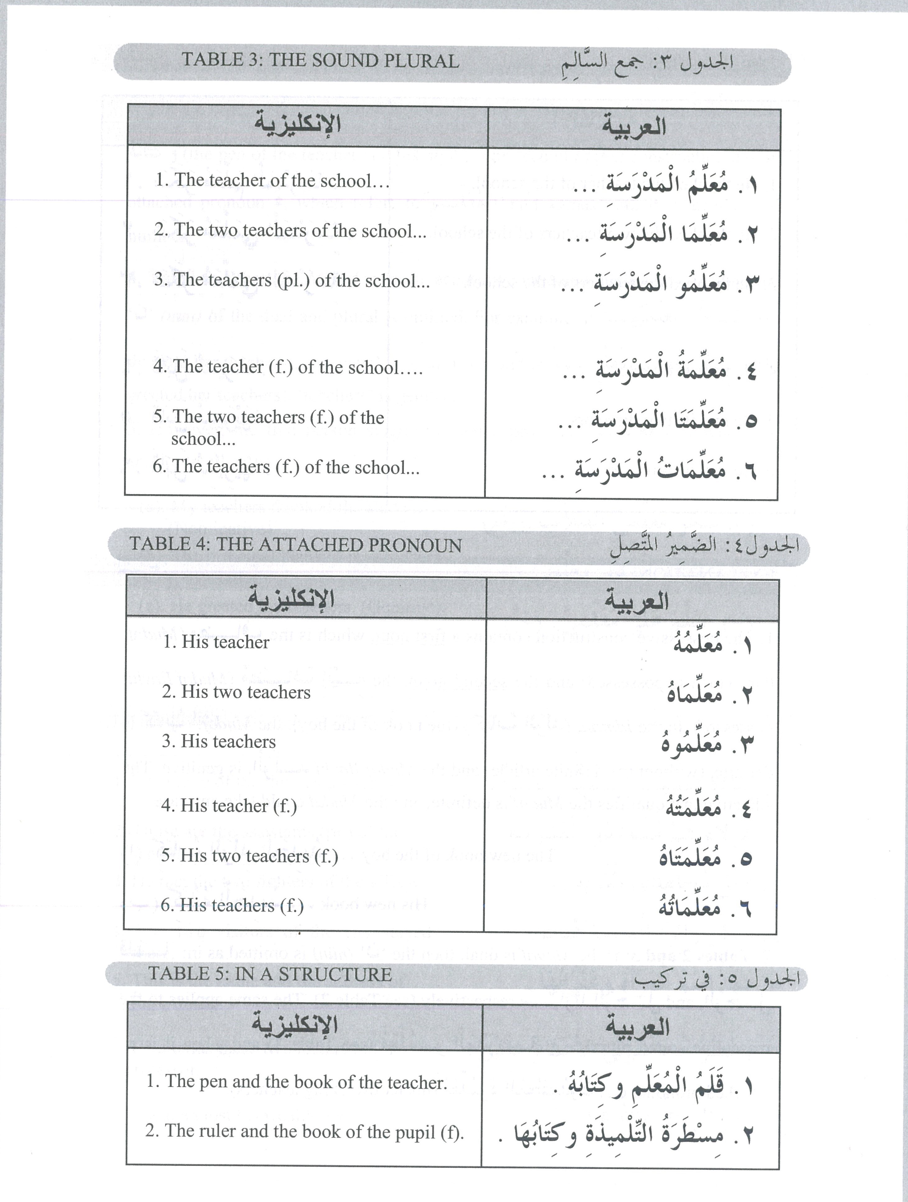 Second Steps In Arabic Grammar