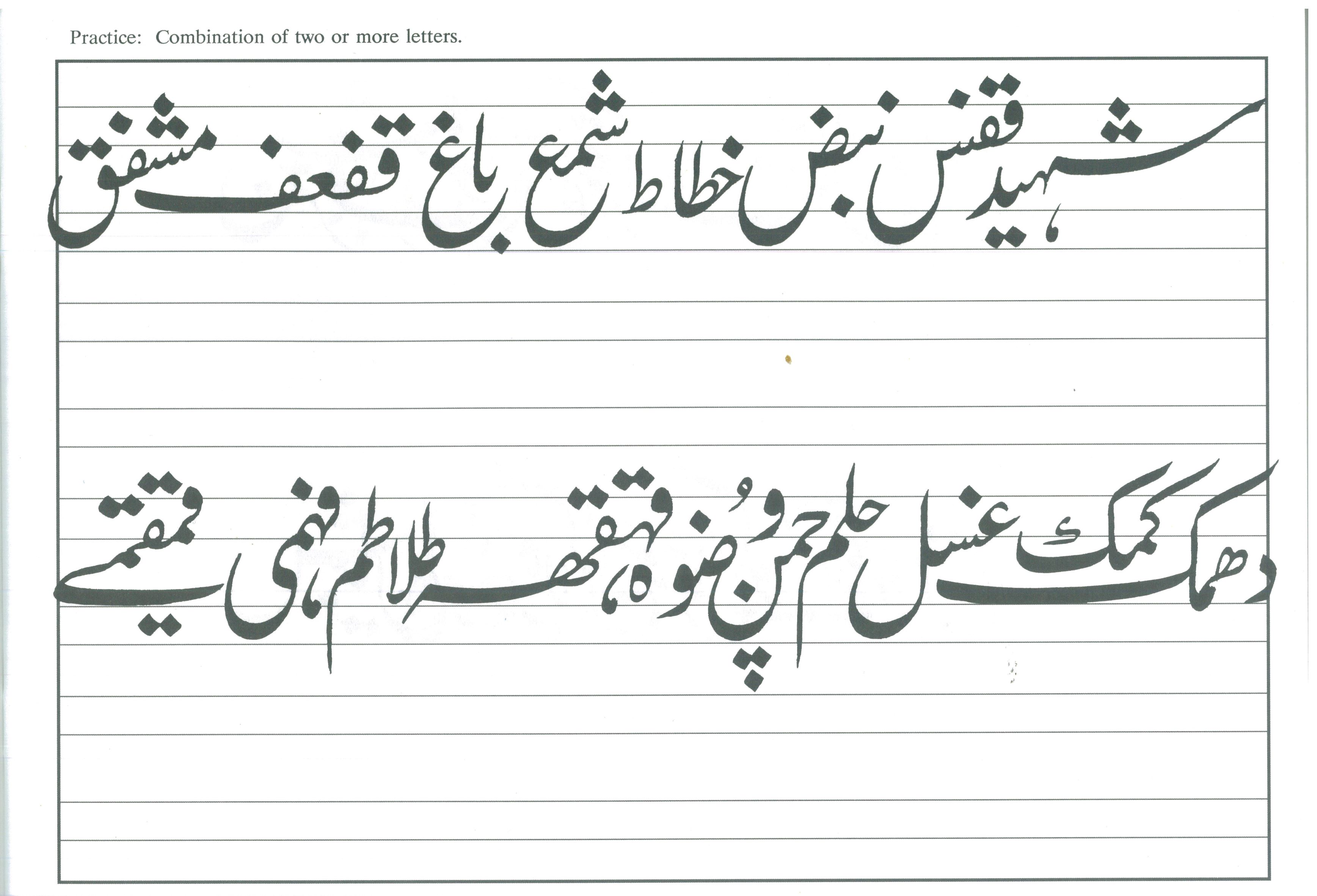 The Art of Arabic Calligraphy (Urdu / Persian)