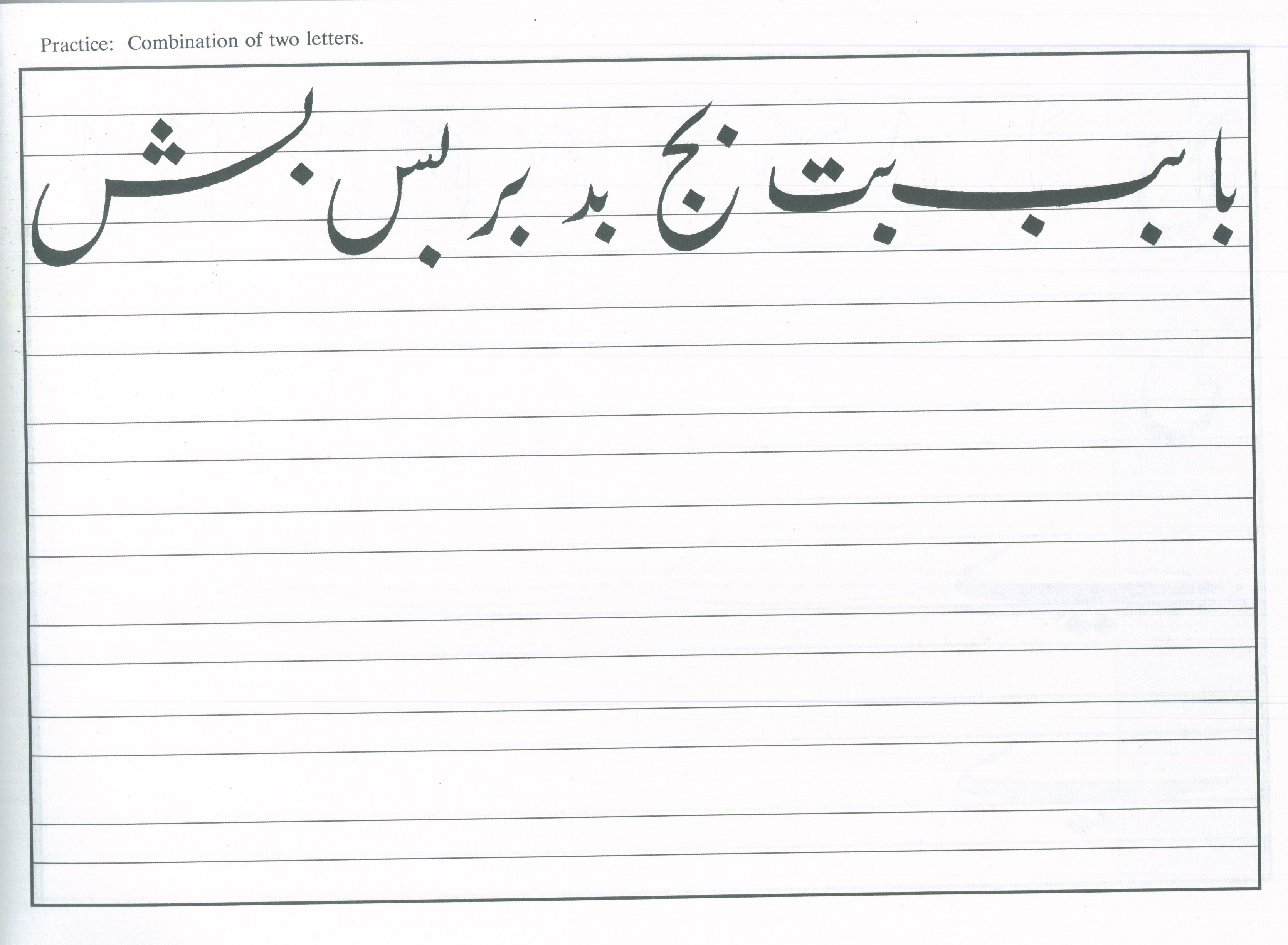 The Art of Arabic Calligraphy (Urdu / Persian)