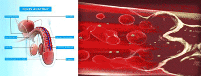 1666153586600598.gif 1659521247323507.gif