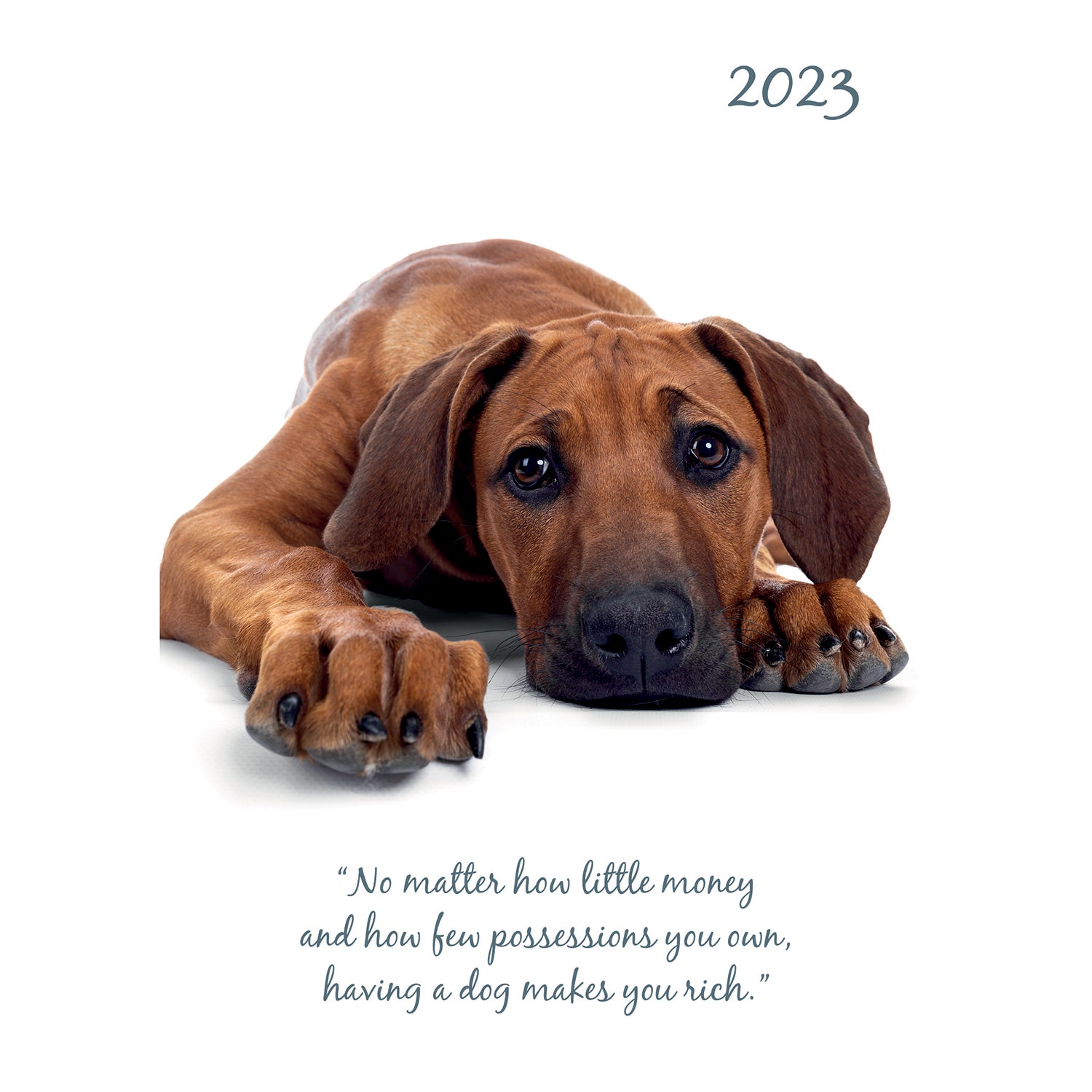 Adorable Dogs - 2023 A5 Padded Cover Diary Premium Planner Book New Year Gift - Zmart Australia