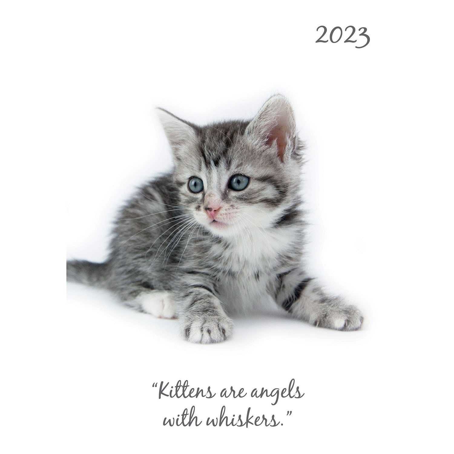 Cute Kittens - 2023 A5 Padded Cover Diary Premium Planner Book New Year Gift - Zmart Australia