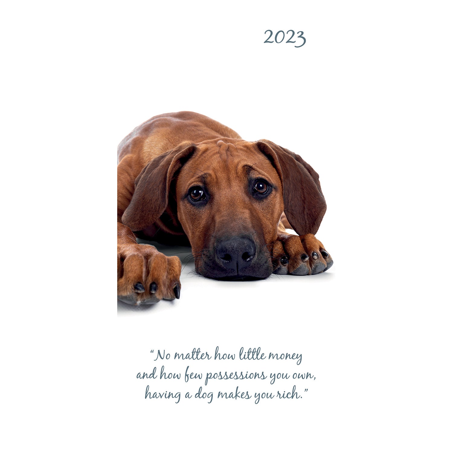 Adorable Dogs - 2023 Flexi Pocket Diary Premium Planner Christmas New Year Gift - Zmart Australia