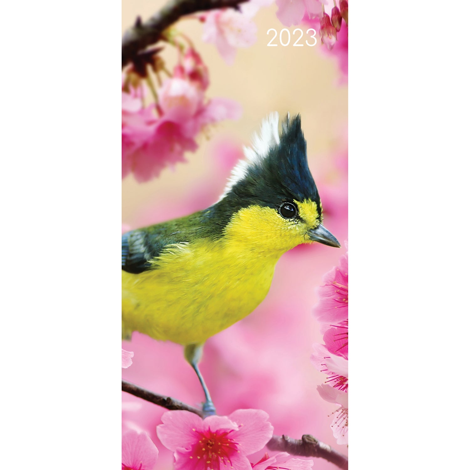 Birds - 2023 Flexi Pocket Diary Premium Planner Christmas Xmas New Year Gift - Zmart Australia