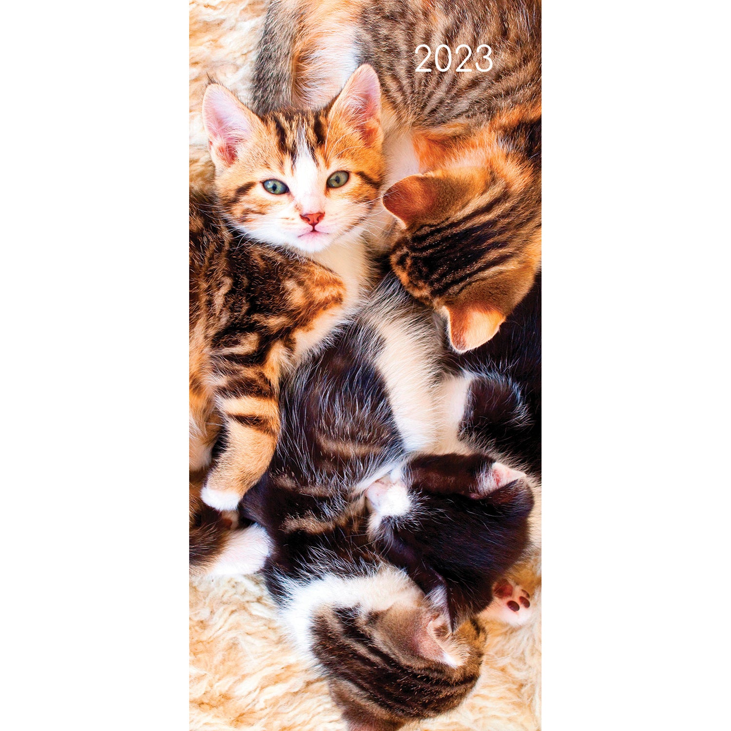 Cats & Kittens - 2023 Flexi Pocket Diary Premium Planner Christmas New Year Gift - Zmart Australia