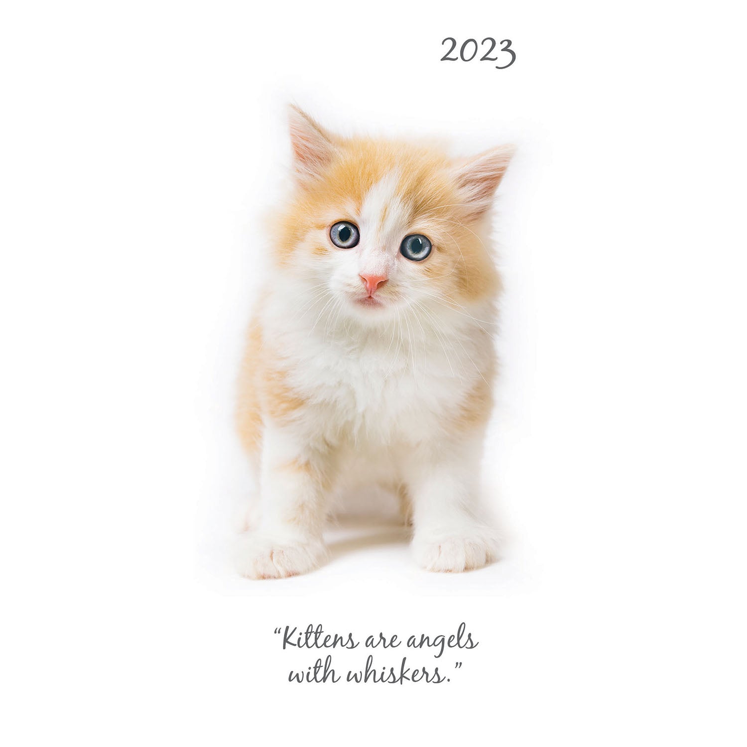 Cute Kittens - 2023 Flexi Pocket Diary Premium Planner Christmas New Year Gift - Zmart Australia