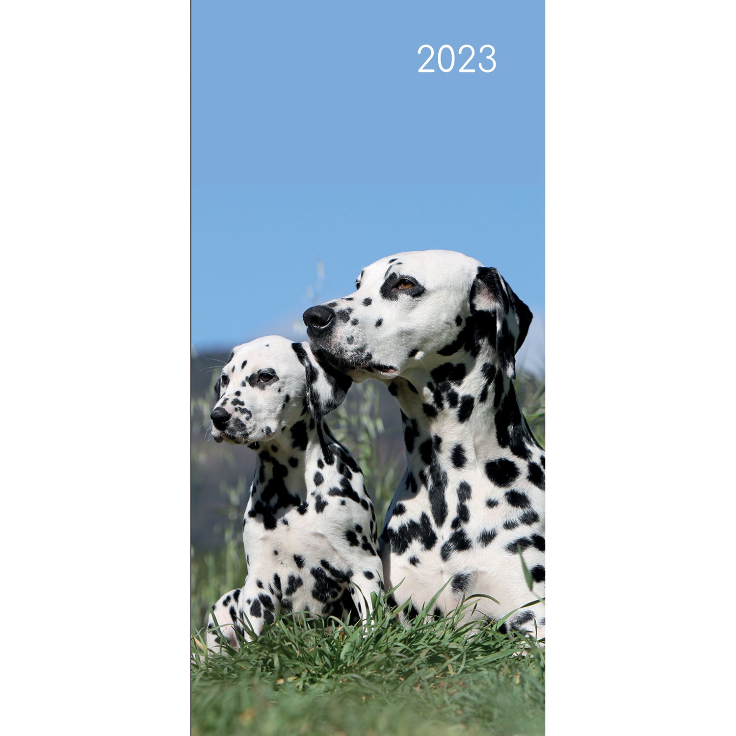 Dogs & Puppies - 2023 Flexi Pocket Diary Premium Planner Christmas New Year Gift - Zmart Australia