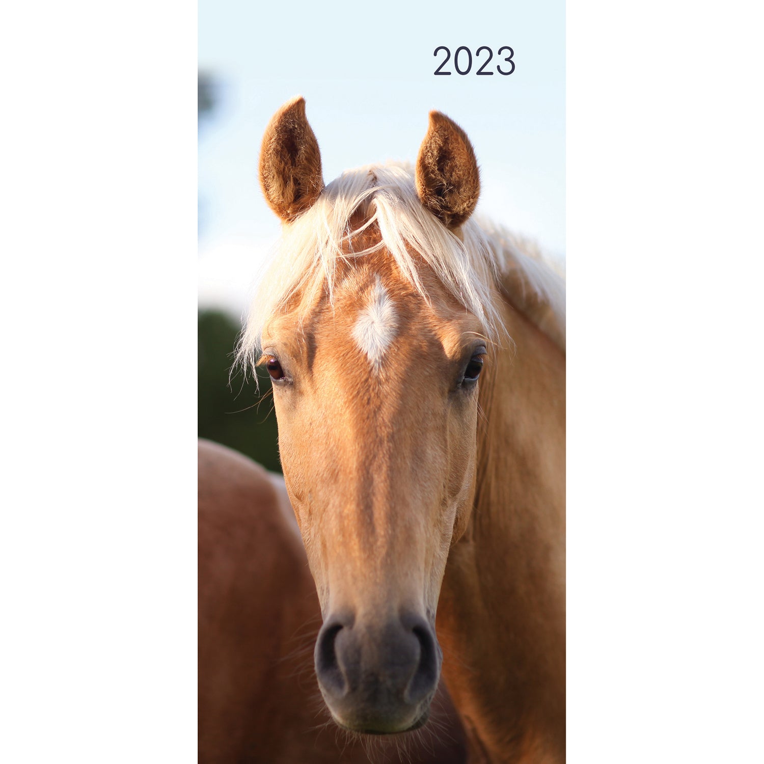 Horses - 2023 Flexi Pocket Diary Premium Planner Christmas Xmas New Year Gift - Zmart Australia