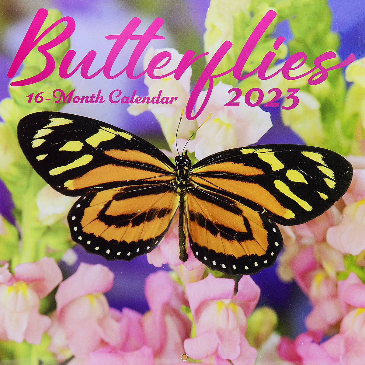 Butterflies 2023 Square Wall Calendar Animals 16 Months Premium Planner New Year - Zmart Australia
