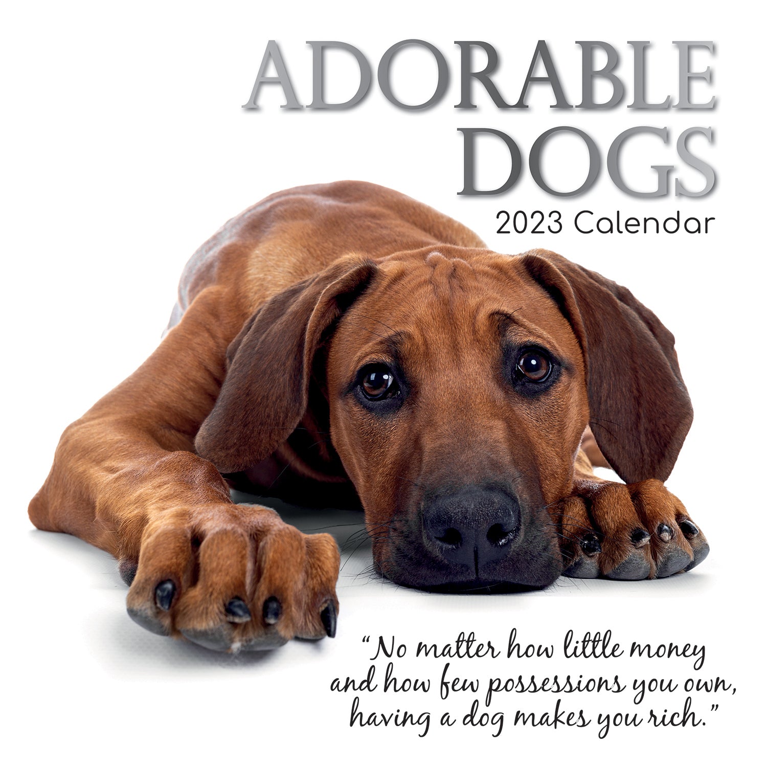 Adorable Dogs - 2023 Square Wall Calendar Pets Animals 16 Months Premium Planner - Zmart Australia
