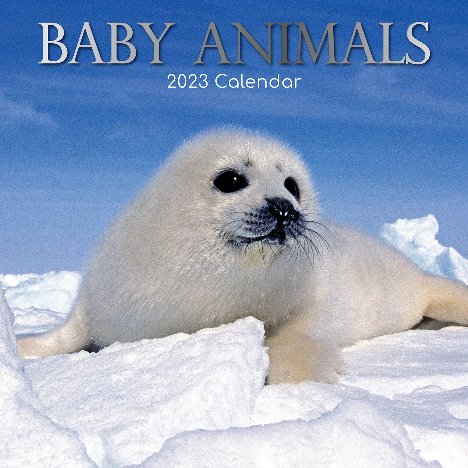 Baby Animals - 2023 Square Wall Calendar Pets Animals 16 Months Premium Planner - Zmart Australia