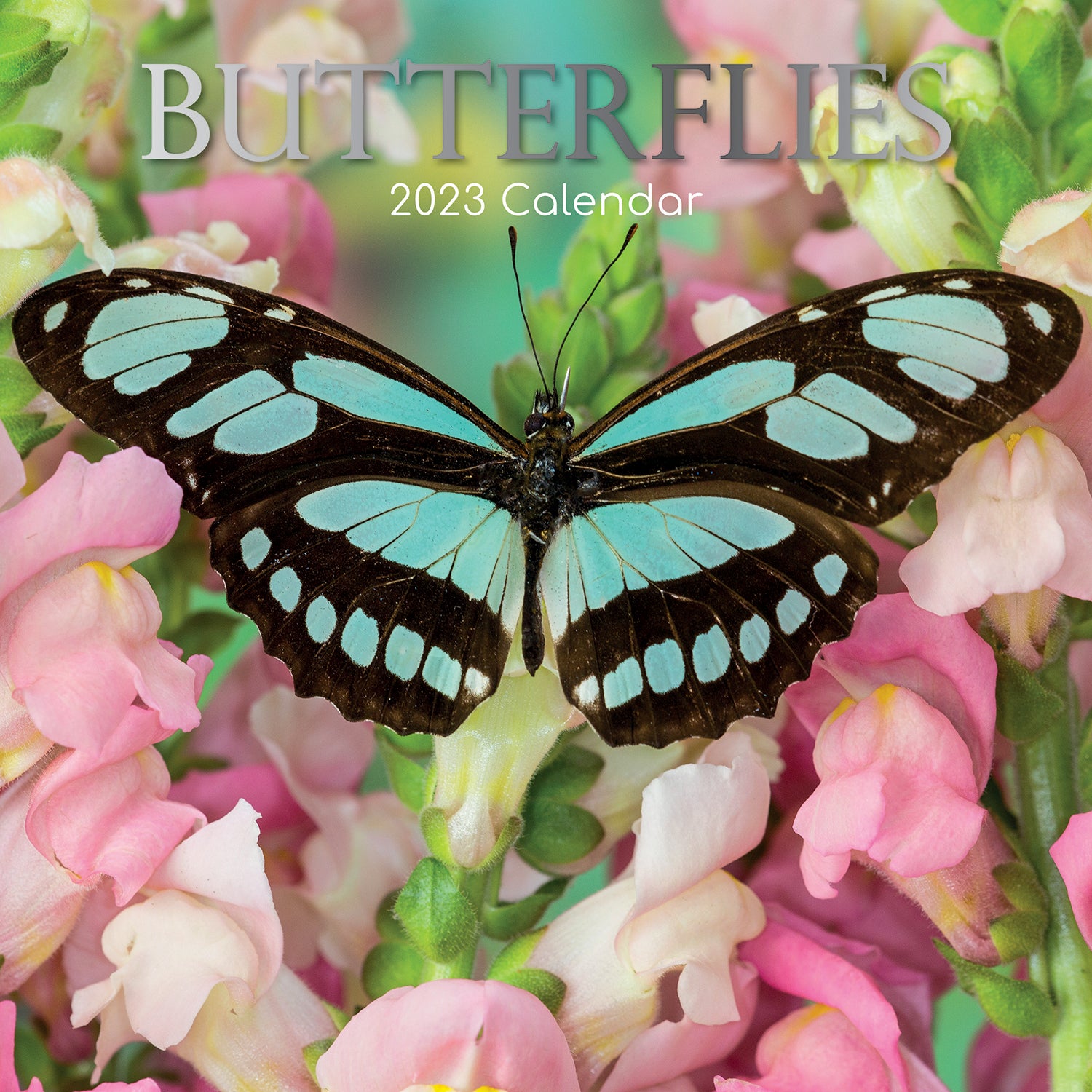 Butterflies - 2023 Square Wall Calendar Pets Animals 16 Months Premium Planner - Zmart Australia