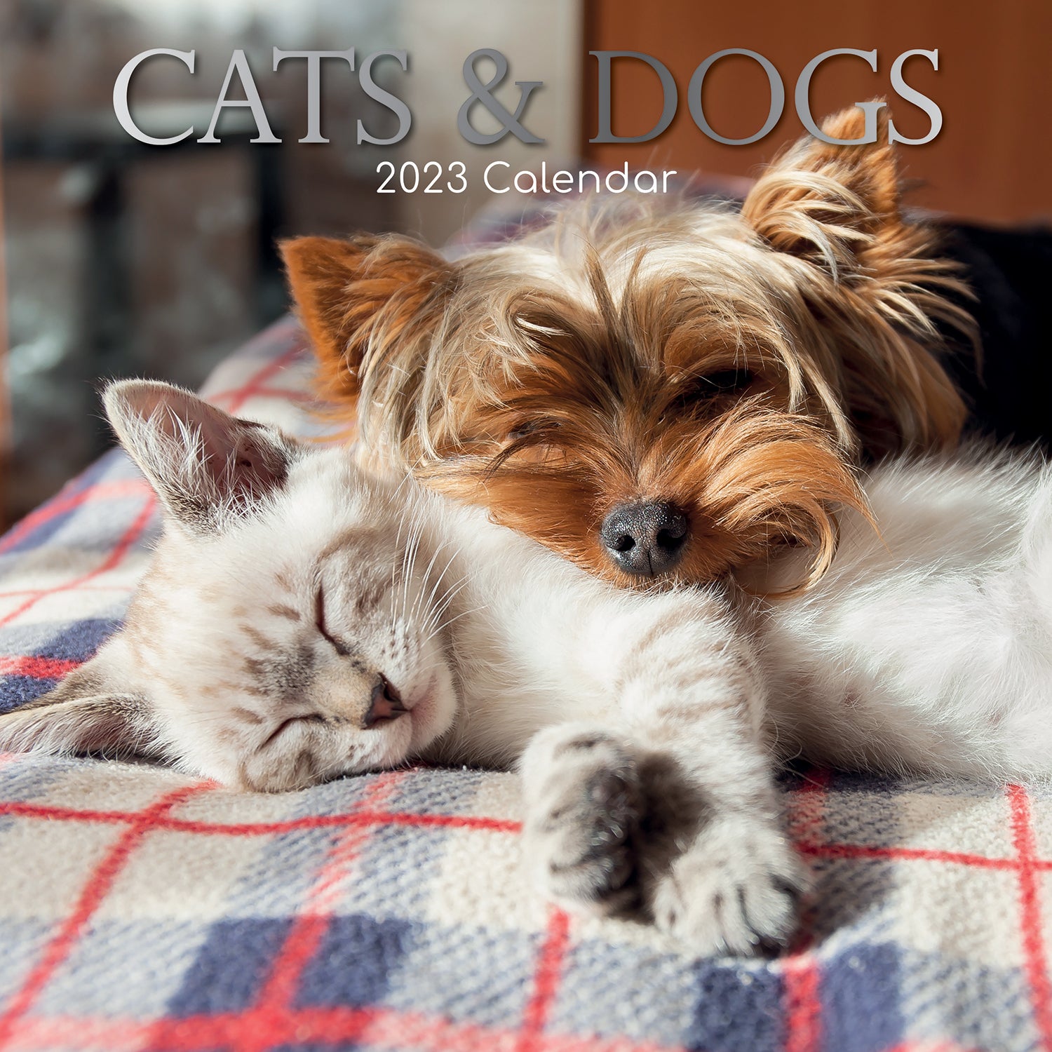 Cats & Dogs - 2023 Square Wall Calendar Pets Animals 16 Months Premium Planner - Zmart Australia