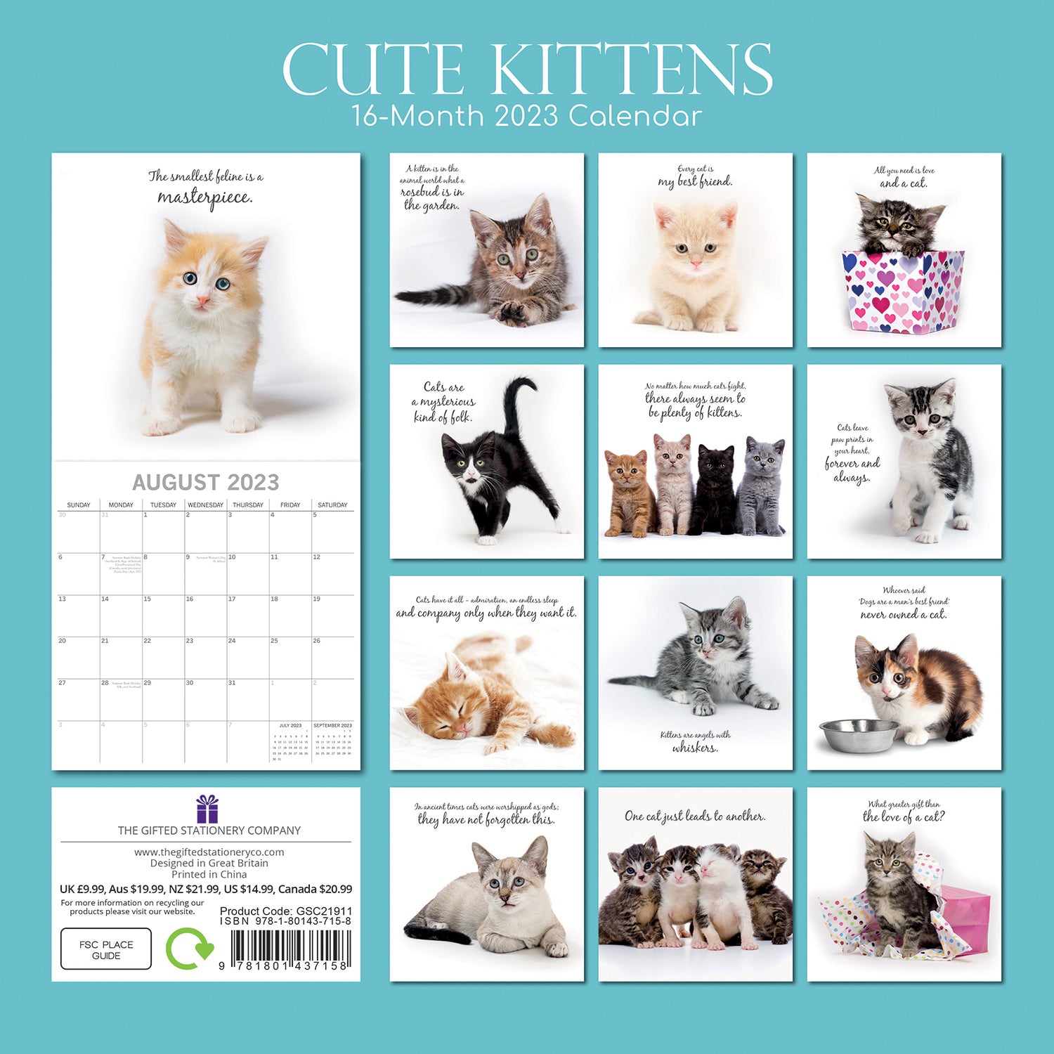 Cute Kittens - 2023 Square Wall Calendar Pets Animals 16 Months Premium ...