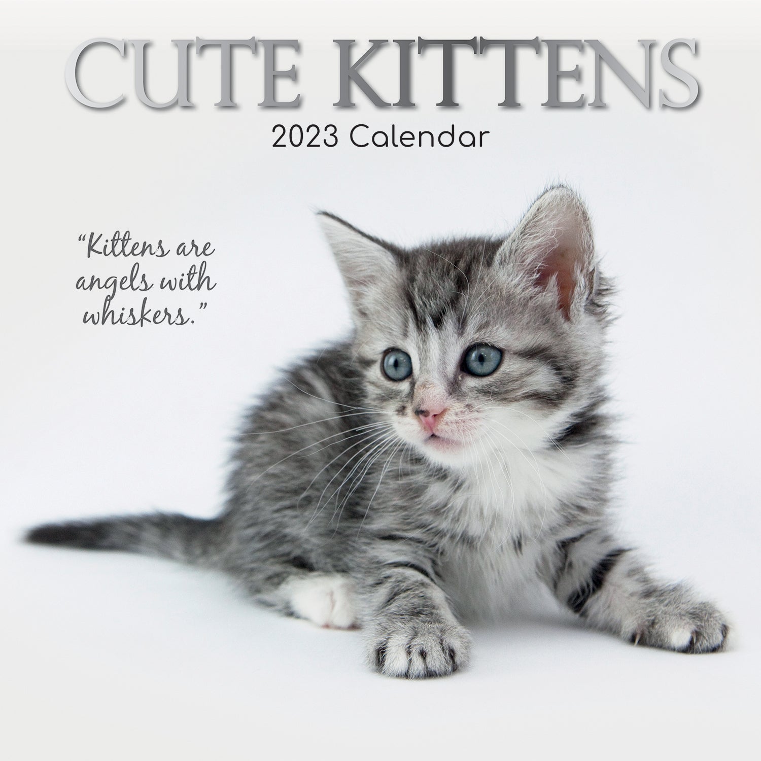 Cute Kittens - 2023 Square Wall Calendar Pets Animals 16 Months Premium Planner - Zmart Australia