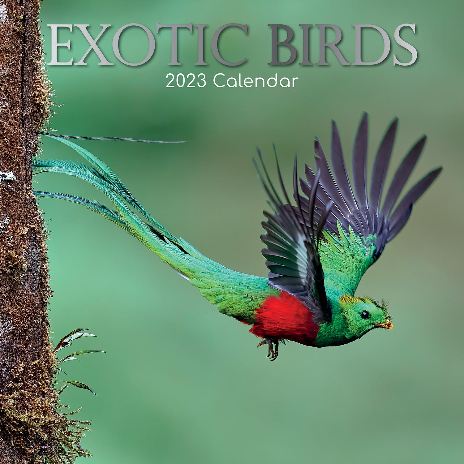 Exotic Birds - 2023 Square Wall Calendar Pets Animals 16 Months Premium Planner - Zmart Australia