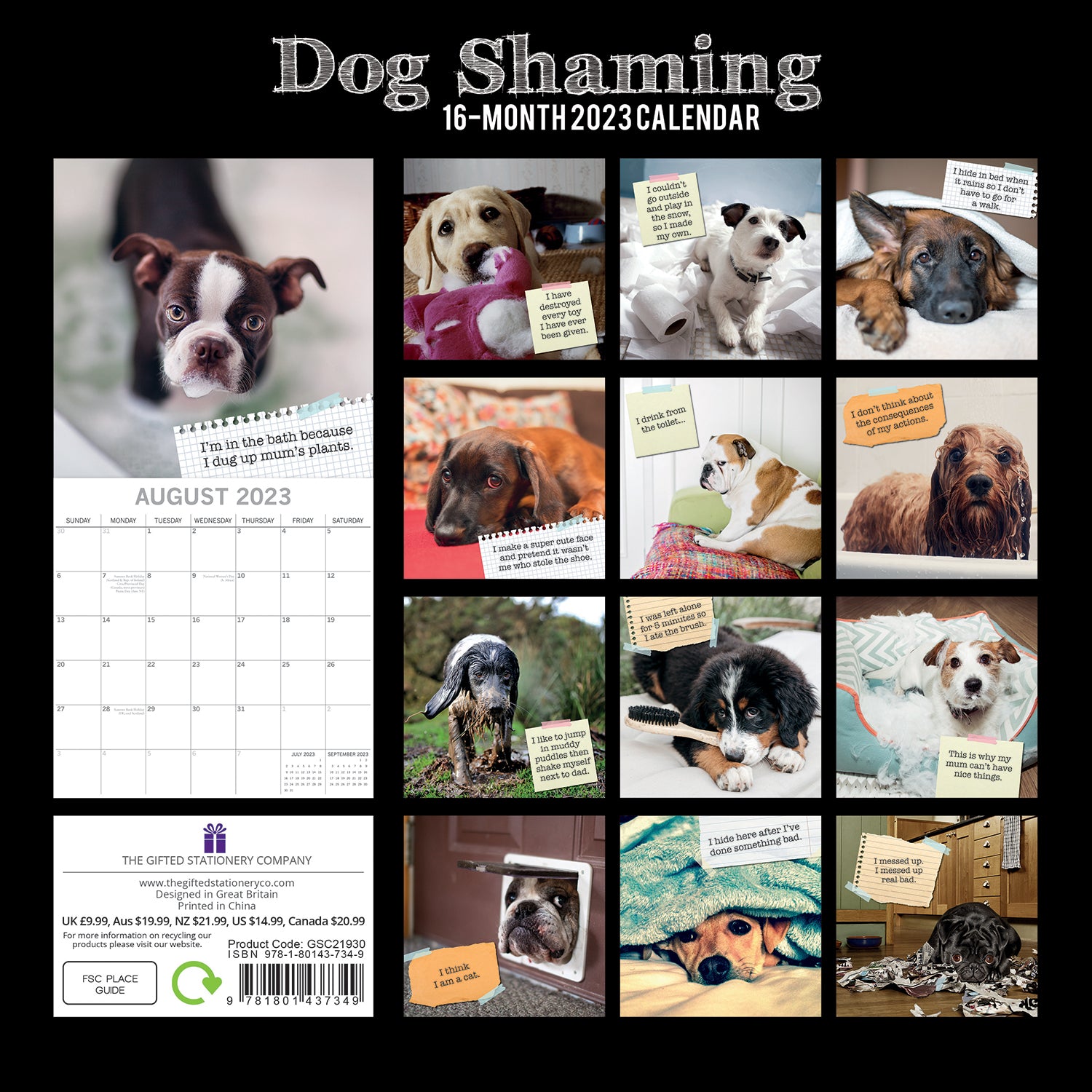 Dog Shaming - 2023 Square Wall Calendar Pets Animals 16 Months Premium ...