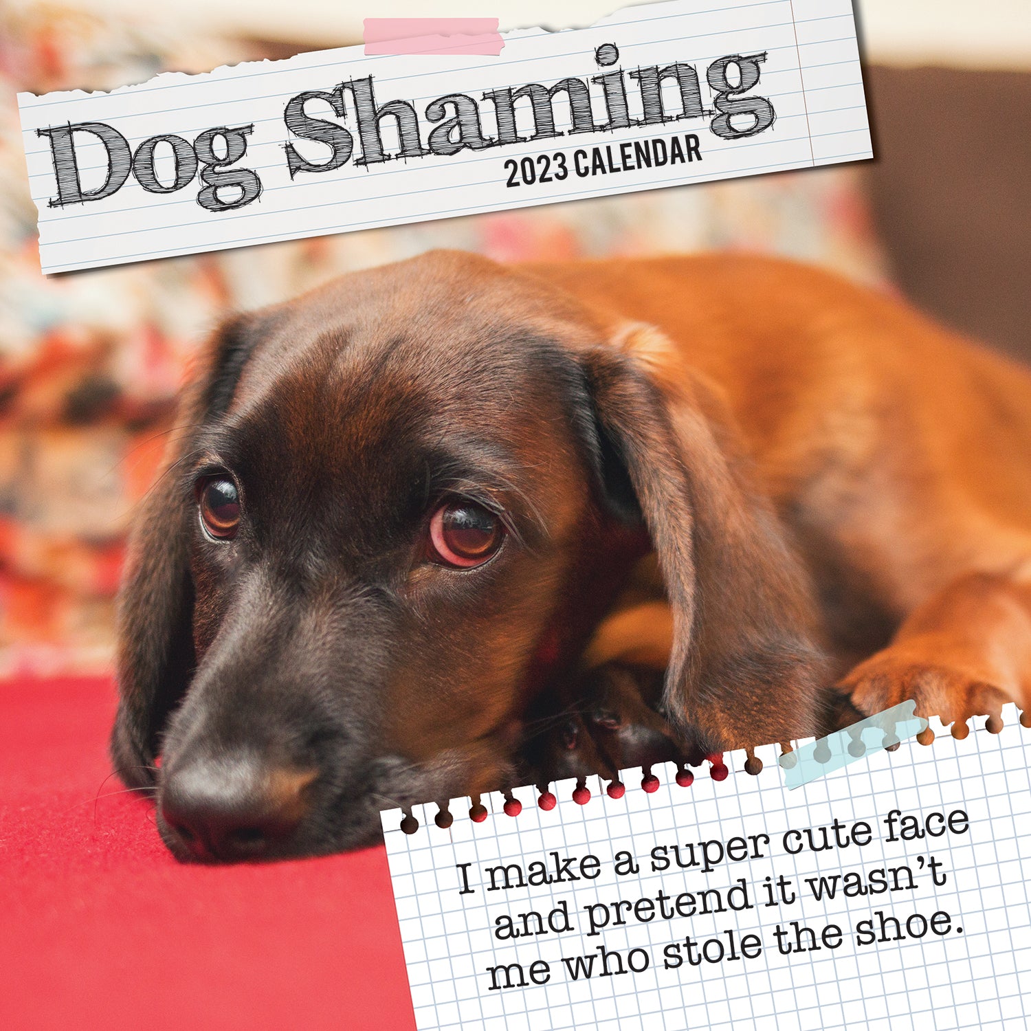 Dog Shaming - 2023 Square Wall Calendar Pets Animals 16 Months Premium Planner - Zmart Australia