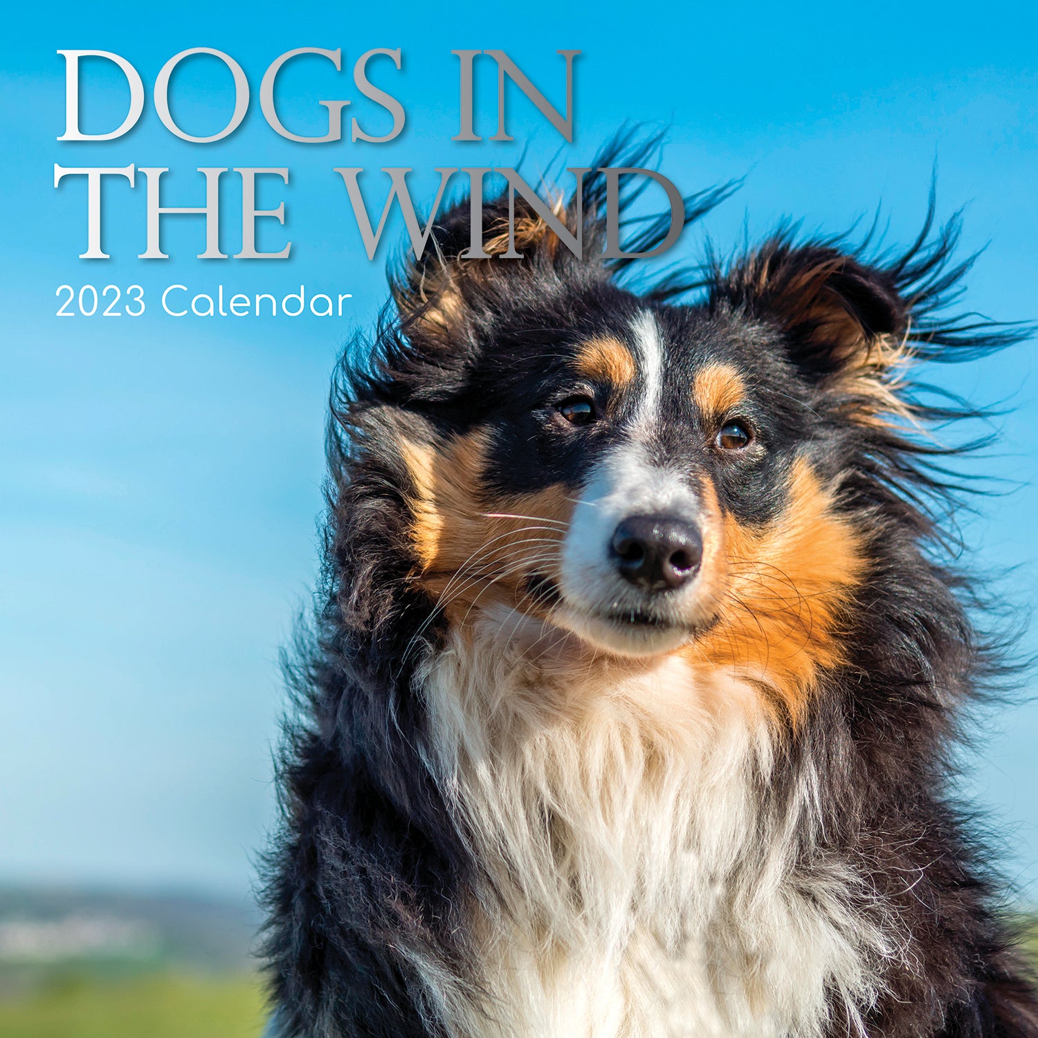 Dogs in the Wind 2023 Square Wall Calendar Pets Animals 16 Month Premium Planner - Zmart Australia