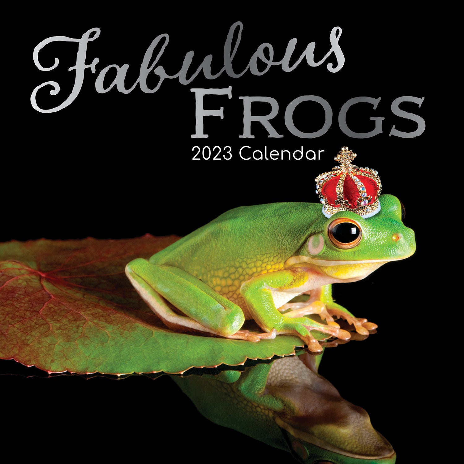 Fabulous Frogs - 2023 Square Wall Calendar Pets Animals 16 Month Premium Planner - Zmart Australia