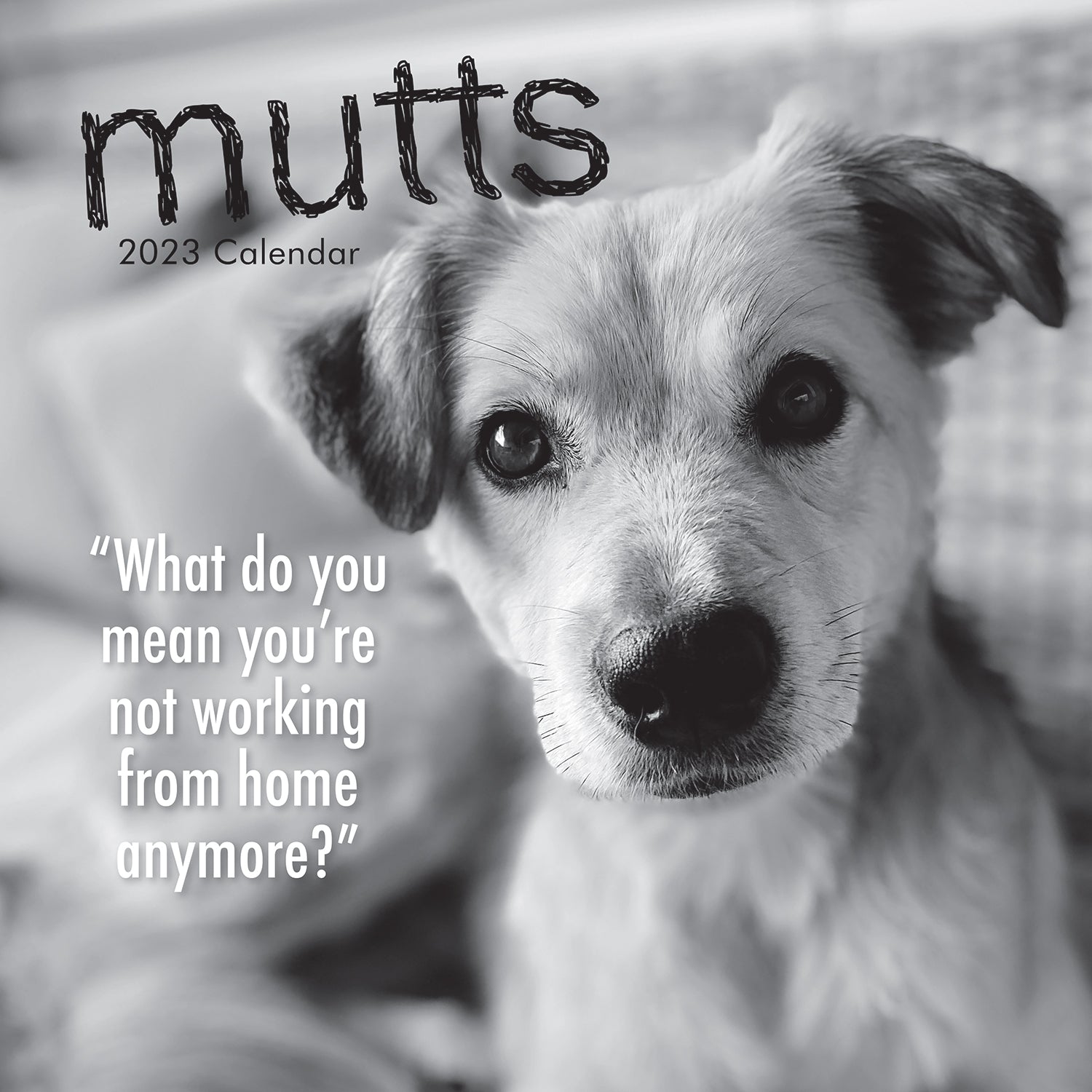 Mutts - 2023 Square Wall Calendar Pets Animals 16 Month Premium Planner New Year - Zmart Australia