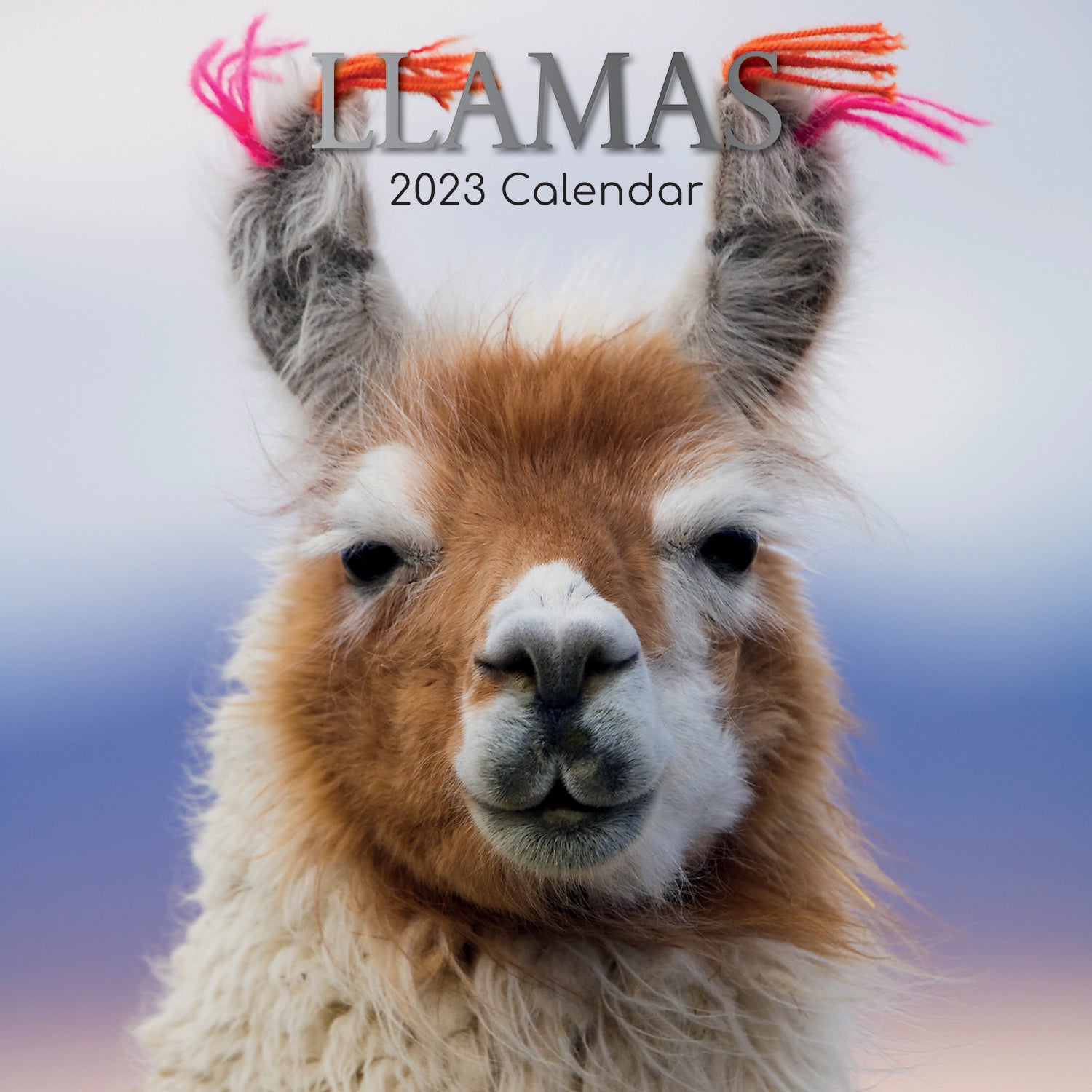 Llamas - 2023 Square Wall Calendar Pets Animals 16 Months New Year Planner Gift - Zmart Australia