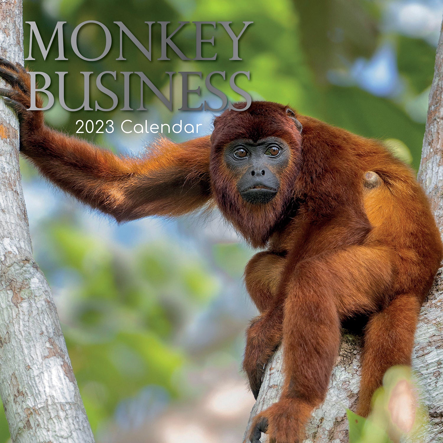 Monkey Business 2023 Square Wall Calendar Pets Animals 16 Months Premium Planner - Zmart Australia