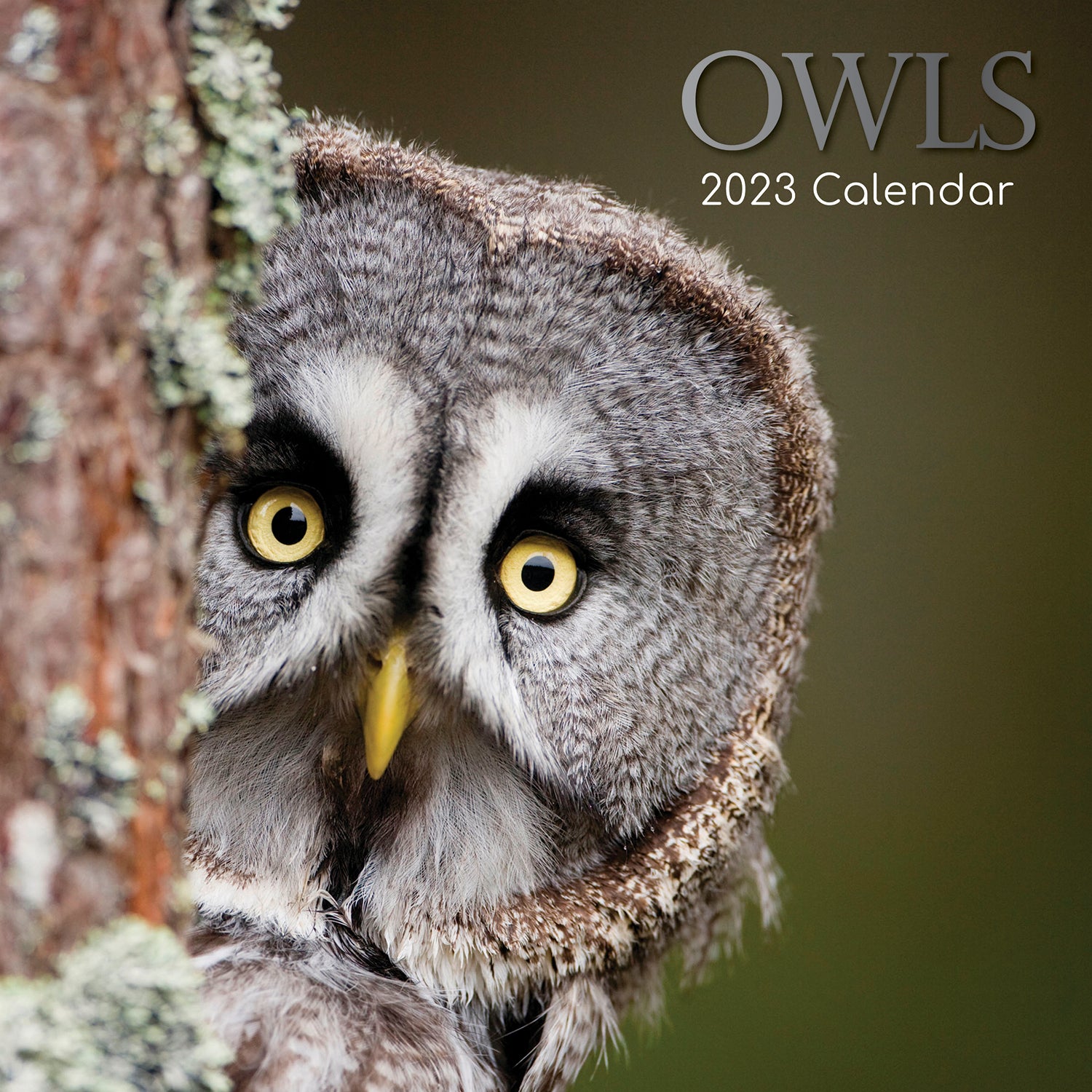 Owls 2023 Square Wall Calendar Pets Animals 16 Months New Year Christmas Planner - Zmart Australia