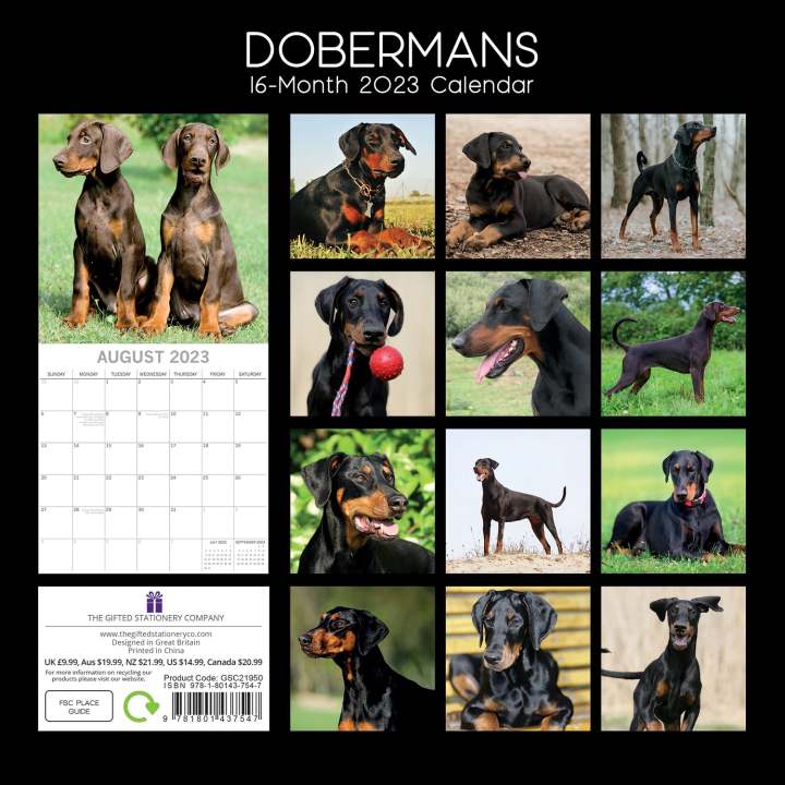 Dobermans 2023 Square Wall Calendar Pets Dog 16 Month Premium Planner