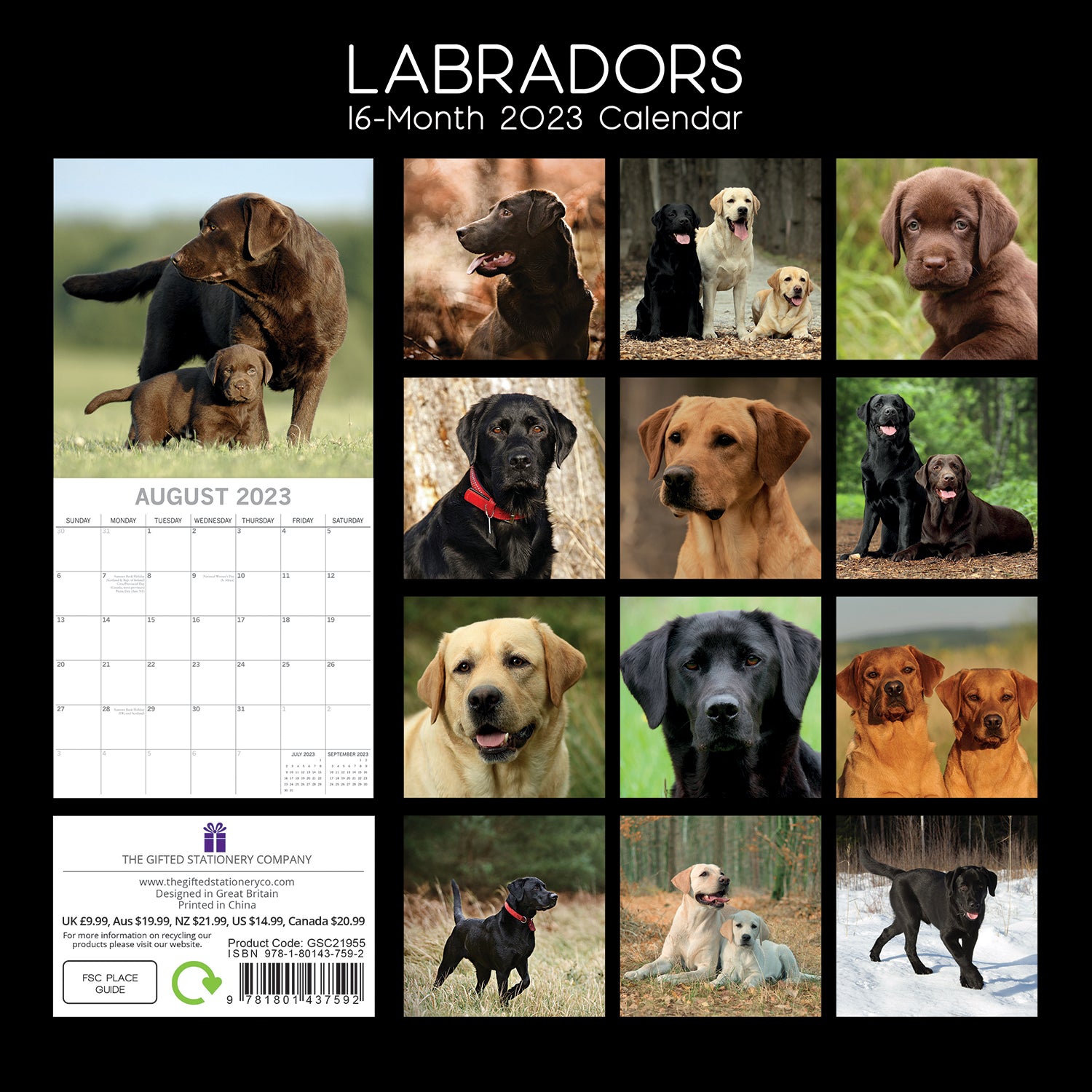 Labradors 2023 Square Wall Calendar Pets Dog 16 Months Premium Planner ...