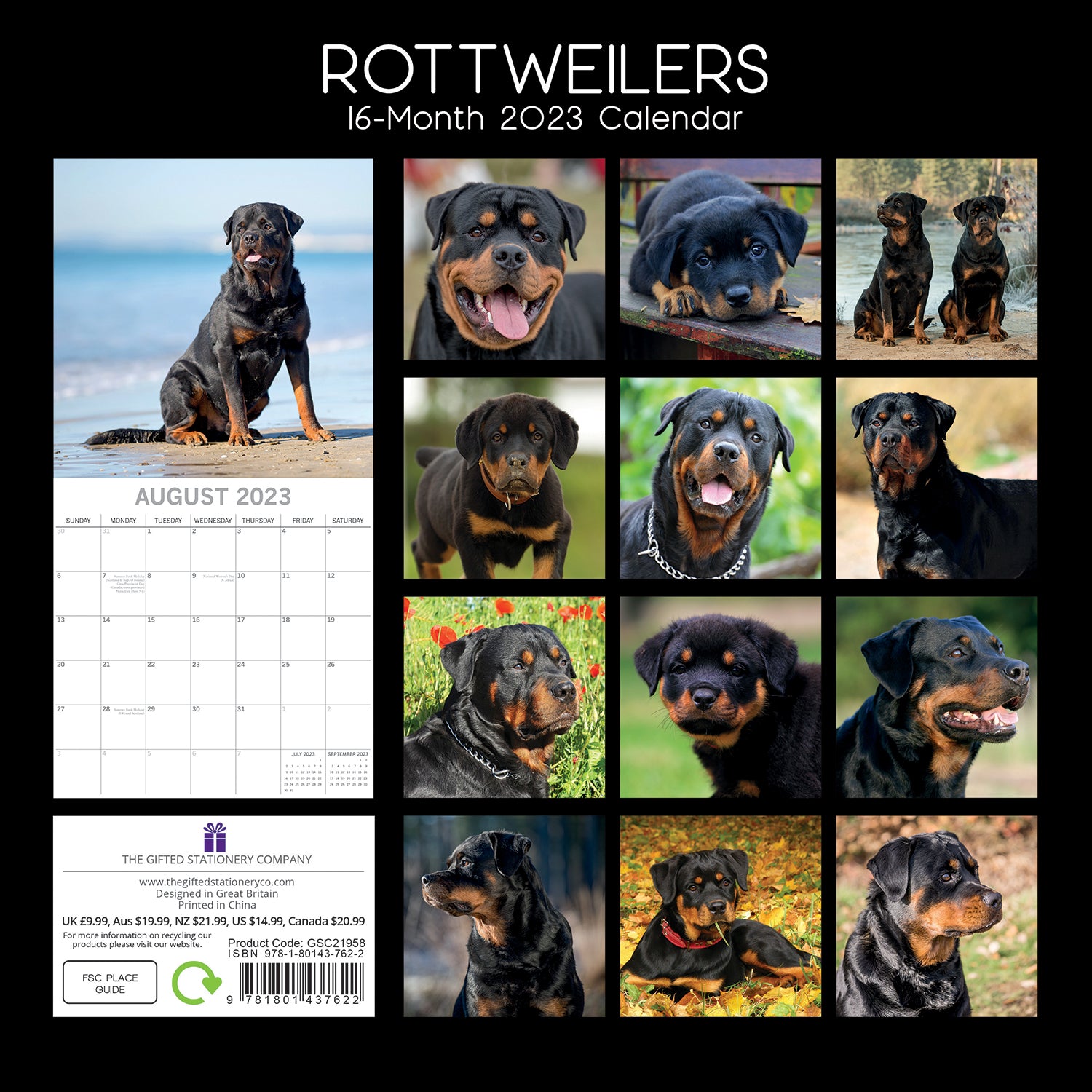 Rottweilers 2023 Square Wall Calendar Pets Dog 16 Month Premium Planner