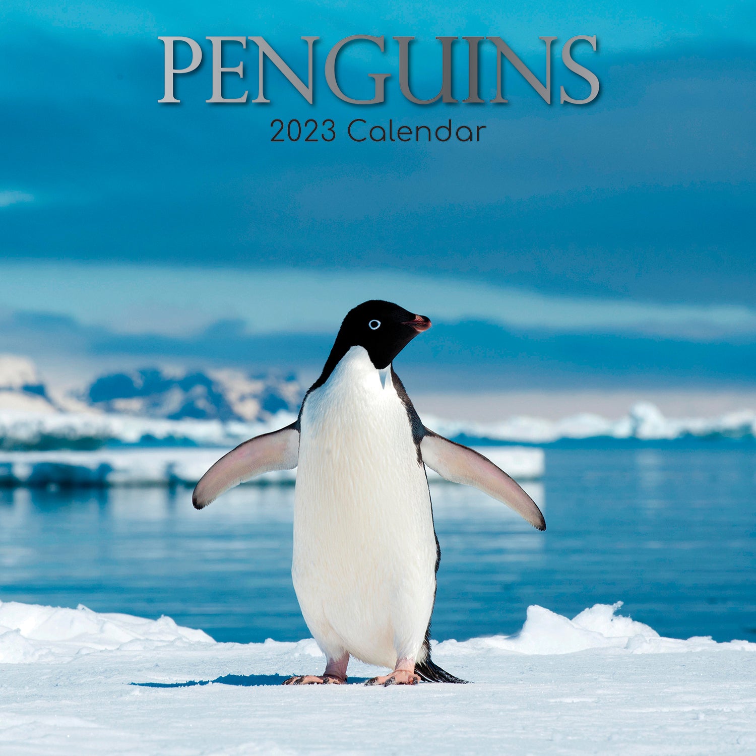 Penguins - 2023 Square Wall Calendar Pets Animals 16 Month New Year Gift Planner - Zmart Australia