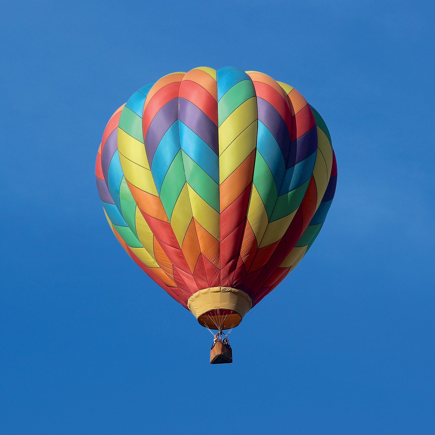 Rainbows 2023 Square Wall Calendar 16 Month Arts Planner Christmas New